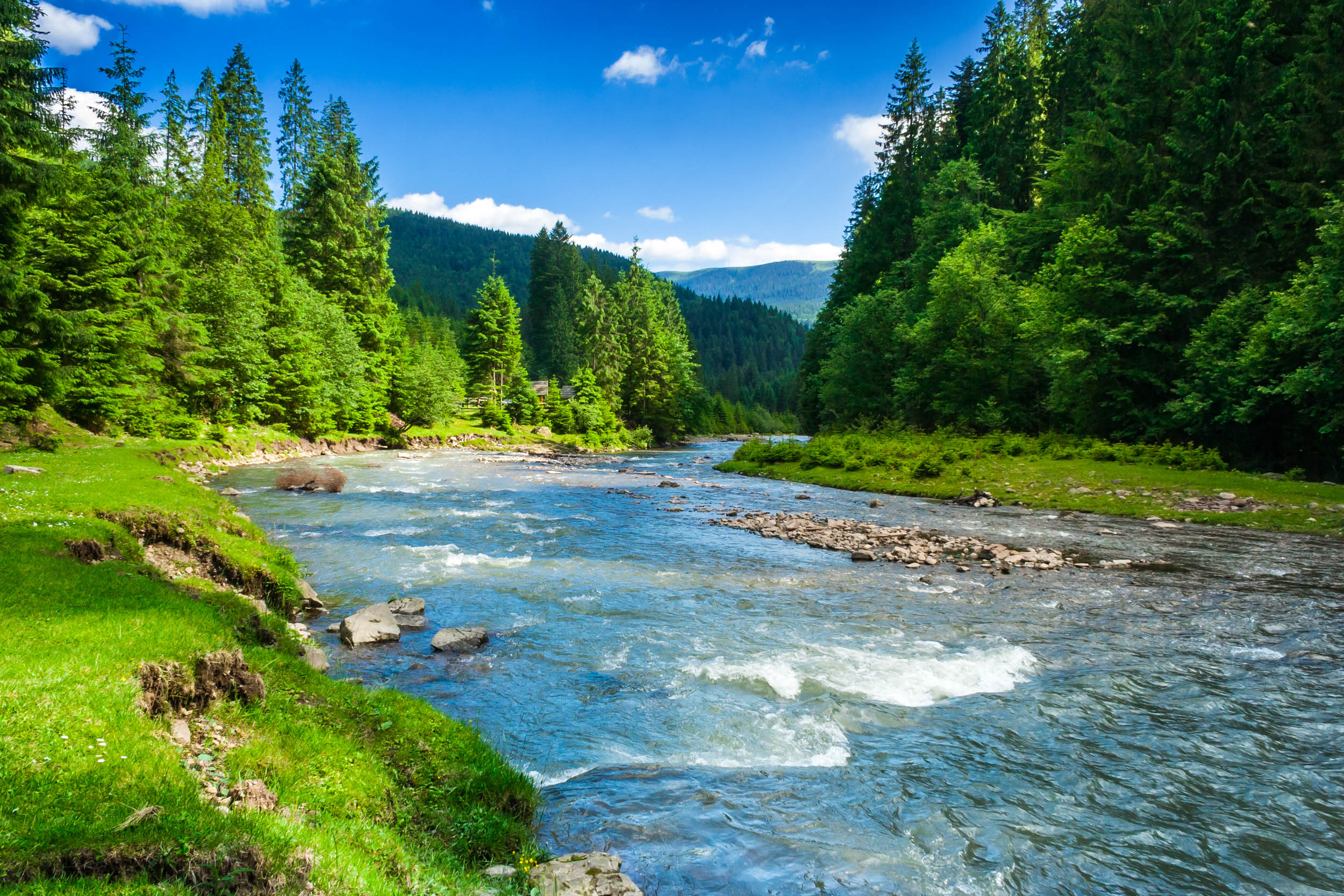 2016/08/river-mountains-biodiversity_1big_stock.jpg