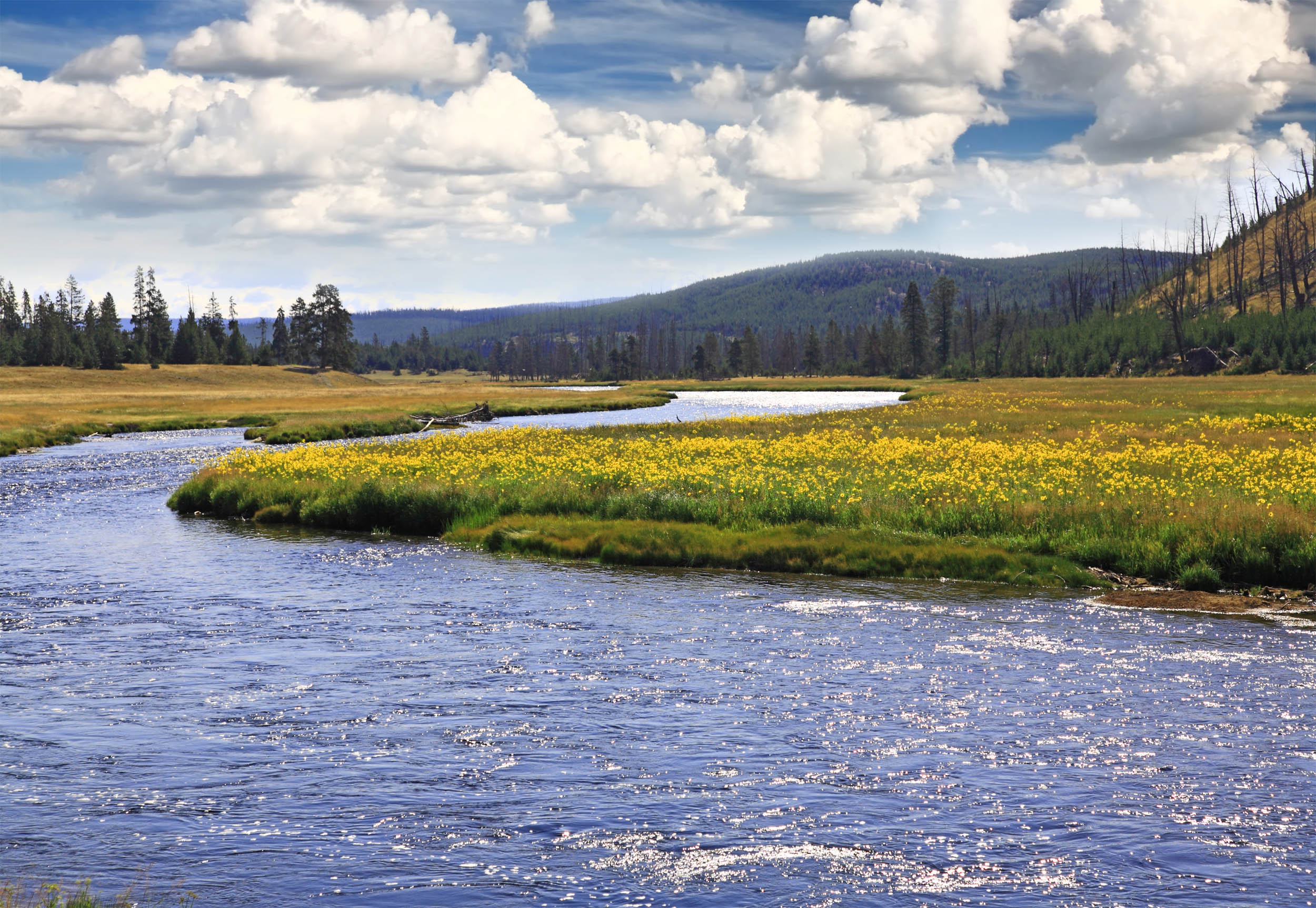 2016/08/yellowstone-river_2big_stock.jpg