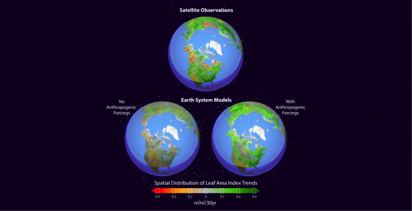 2016/08/northern-hemisphere-greening_1big_ORNL.jpg