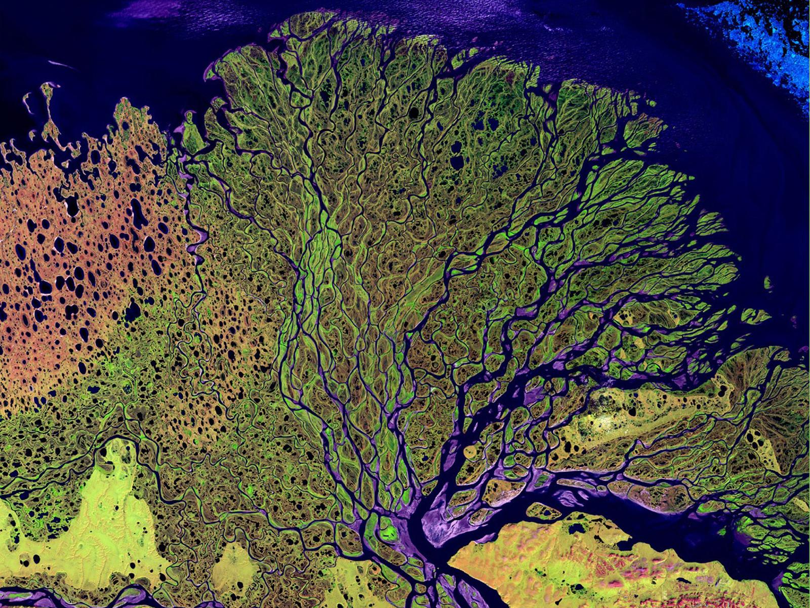 2016/08/lena-delta-russia_1big_nsf.jpg