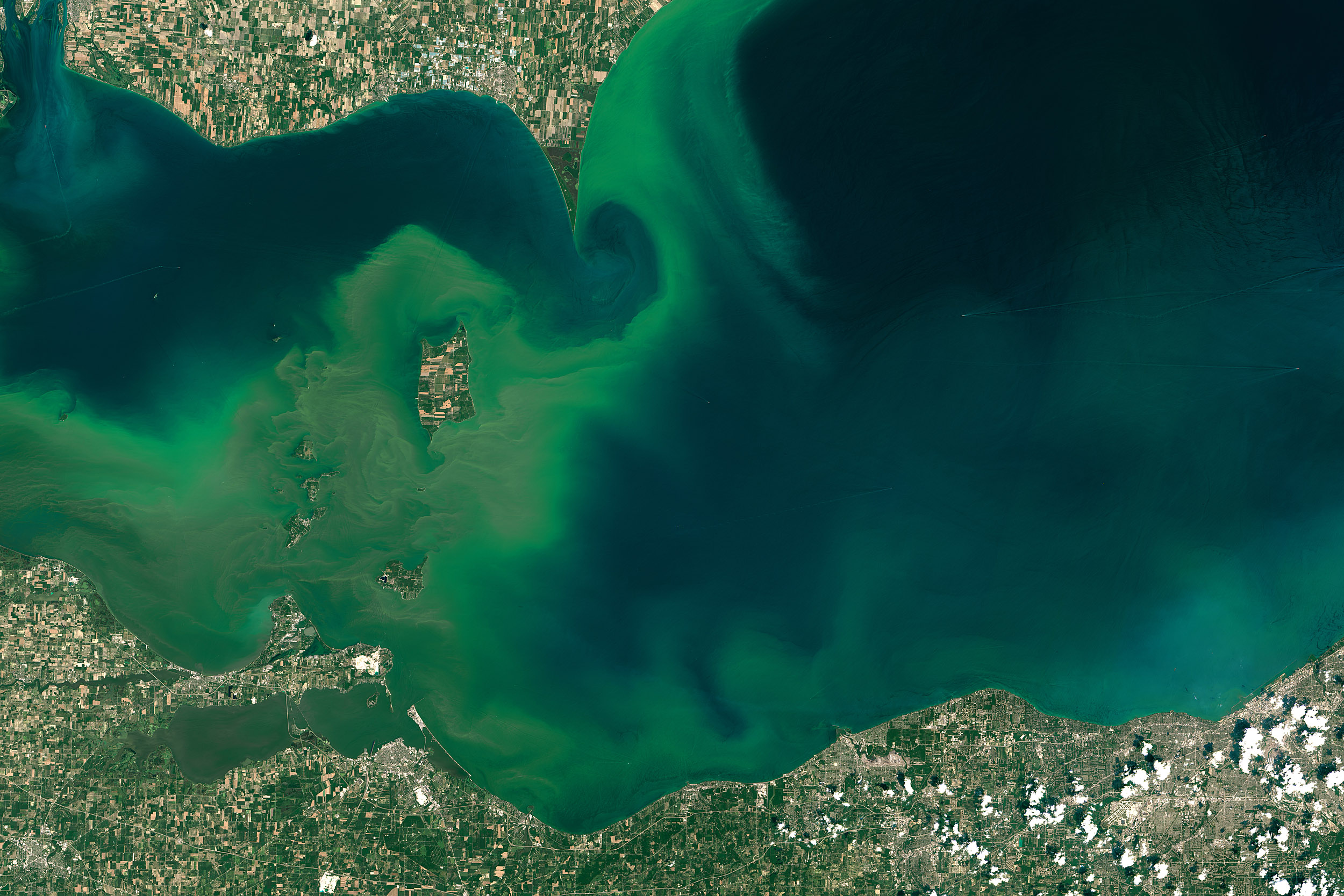 2016/08/algae-bloom-western-lake-erie_1big_landsat_nasa.jpg