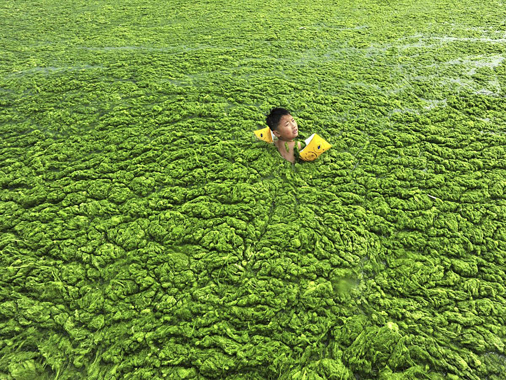 2016/08/water-pollution-china_ap.jpg