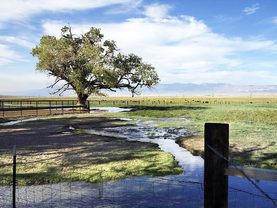 California Drought-Owens Valley