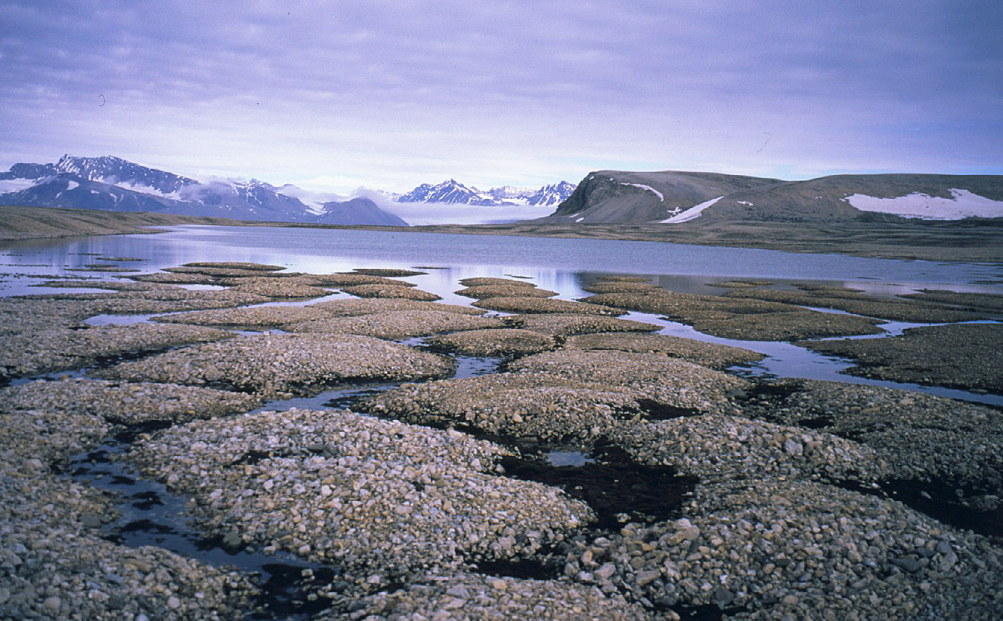 2016/08/permafrost_1big_nasa.jpg