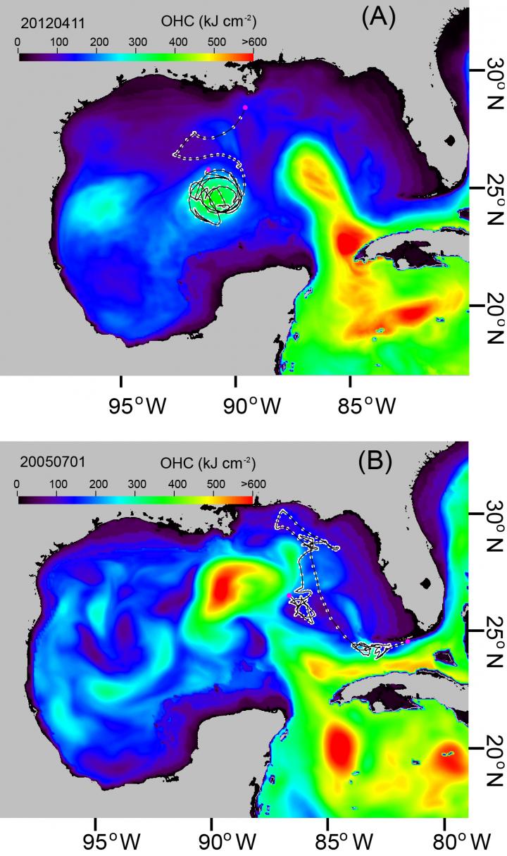 2016/08/ocean-heat-map_1big_UMiami.jpg
