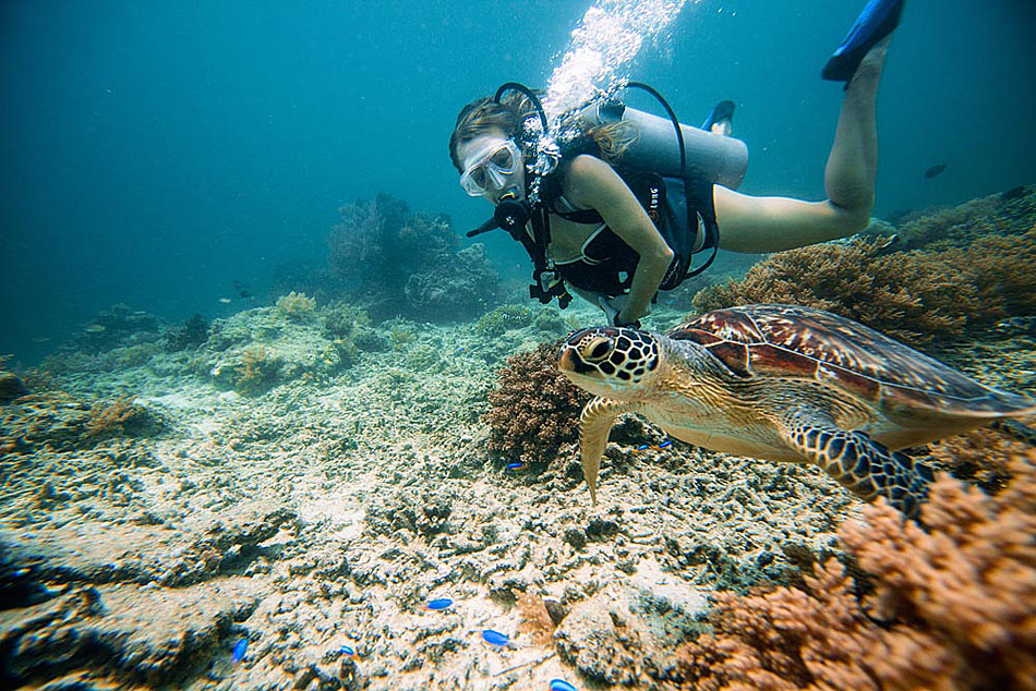 Snorkeling with Sea Turtles on Gili Trawangan - Underwater Photo