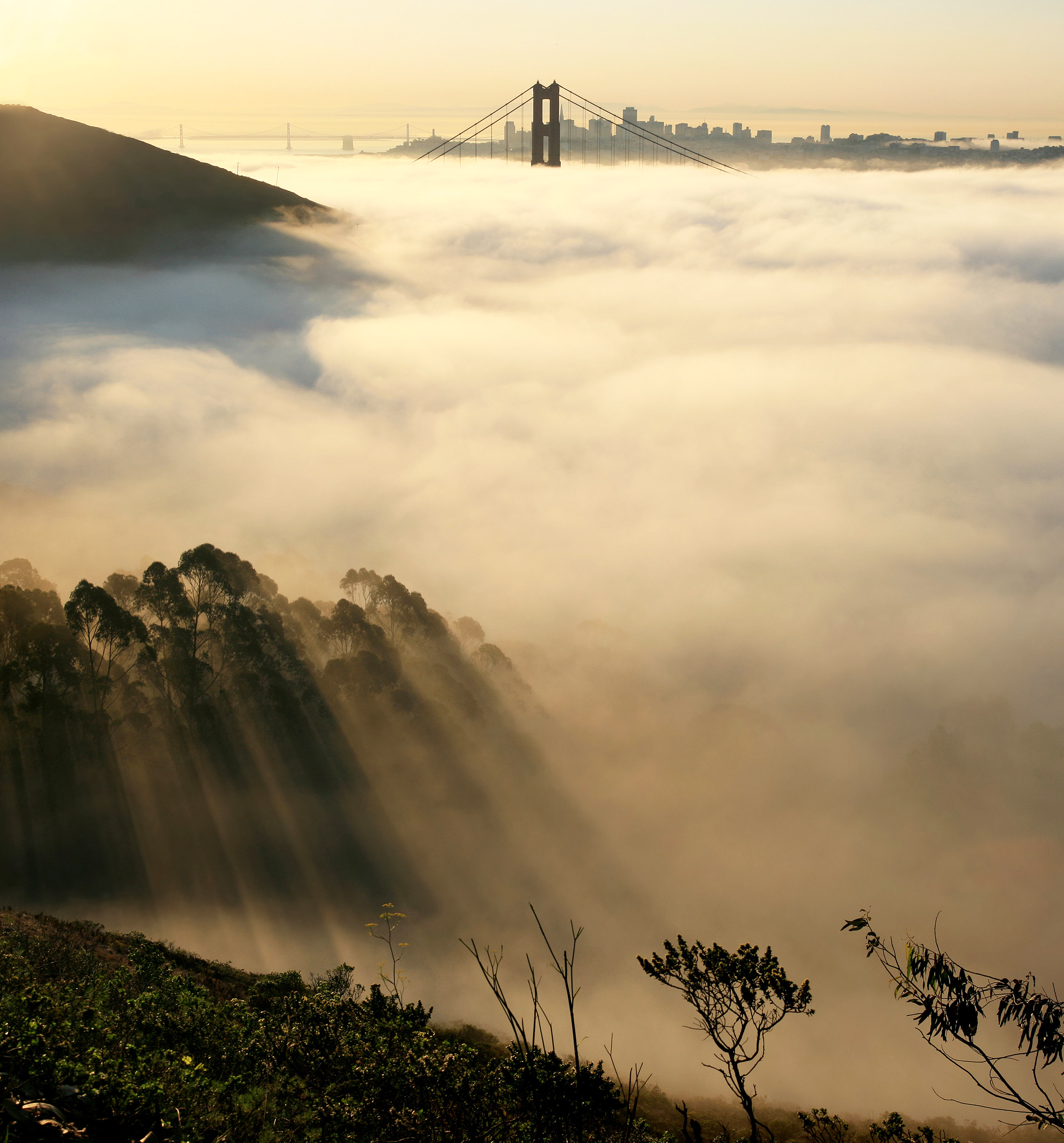 2016/08/fog-california_2big_NSF.jpg