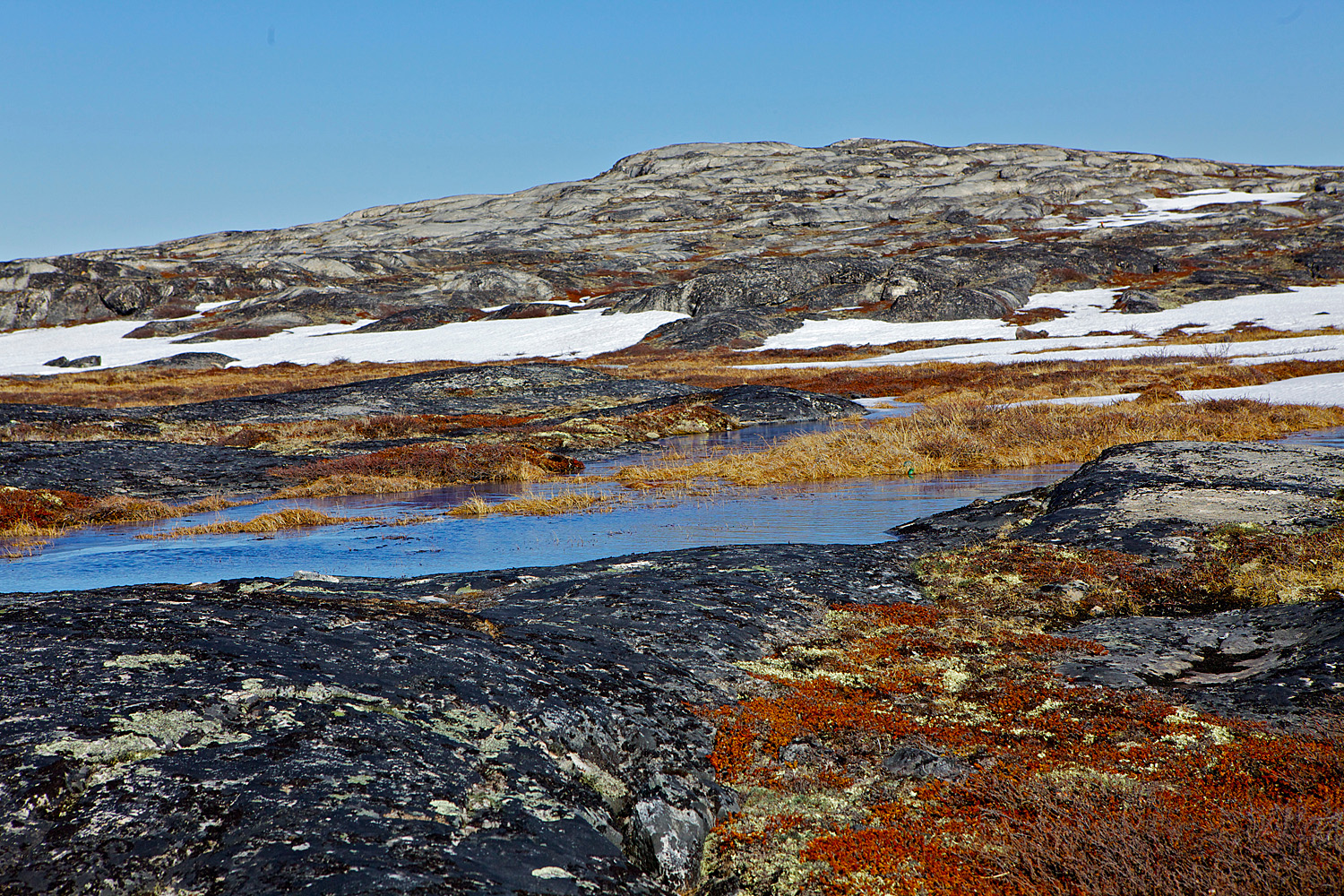 2016/08/greenland-tundra_1big_Dartmouth.jpg