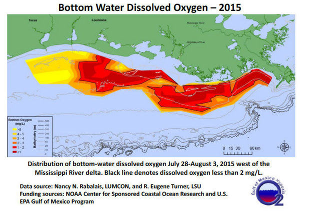 2016/08/gulf-dead-zone_1big_NOAA.jpg
