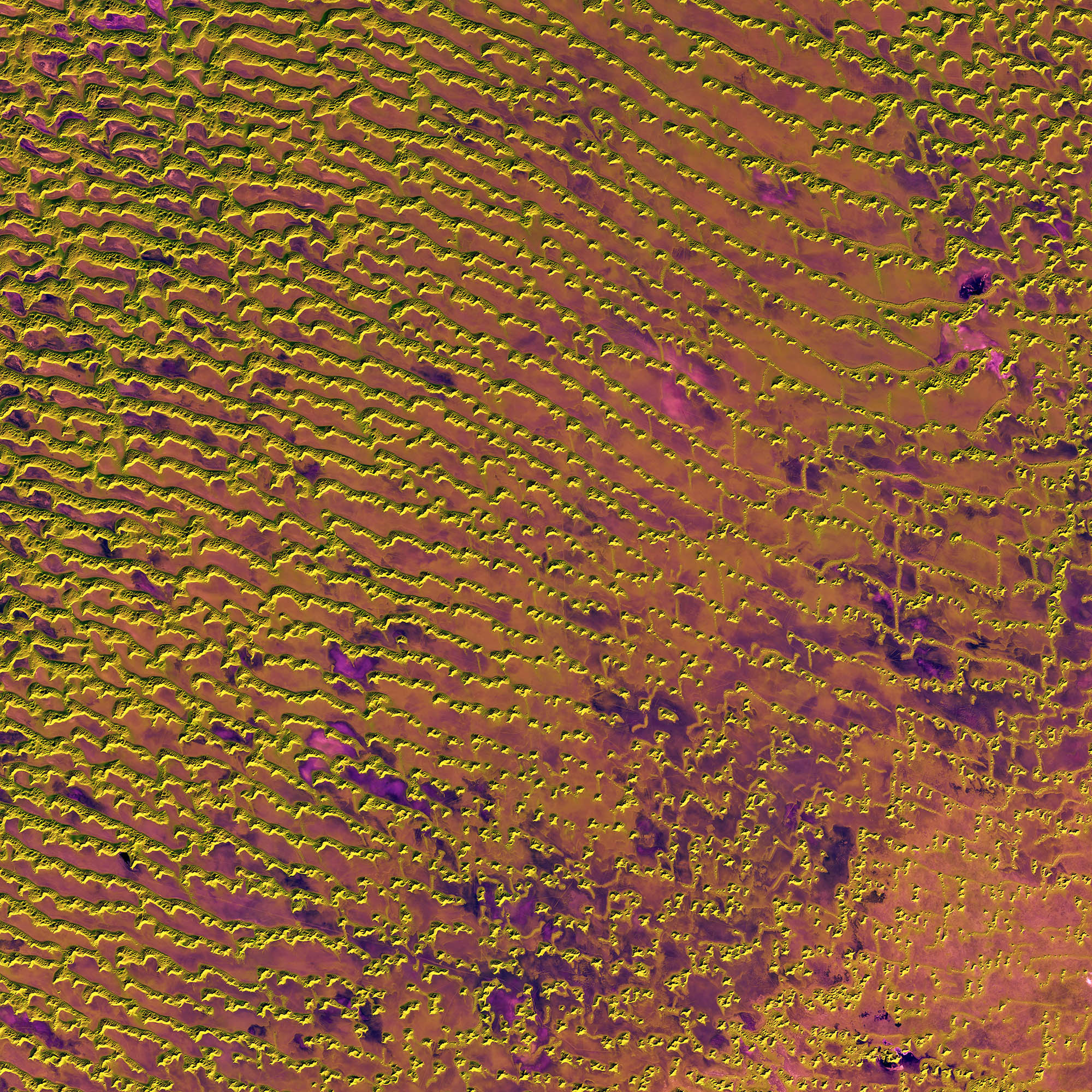 Rub al Khali Desert