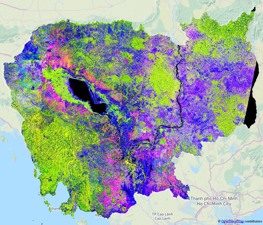 Mekong River Delta suffers significant drop in rice productivity