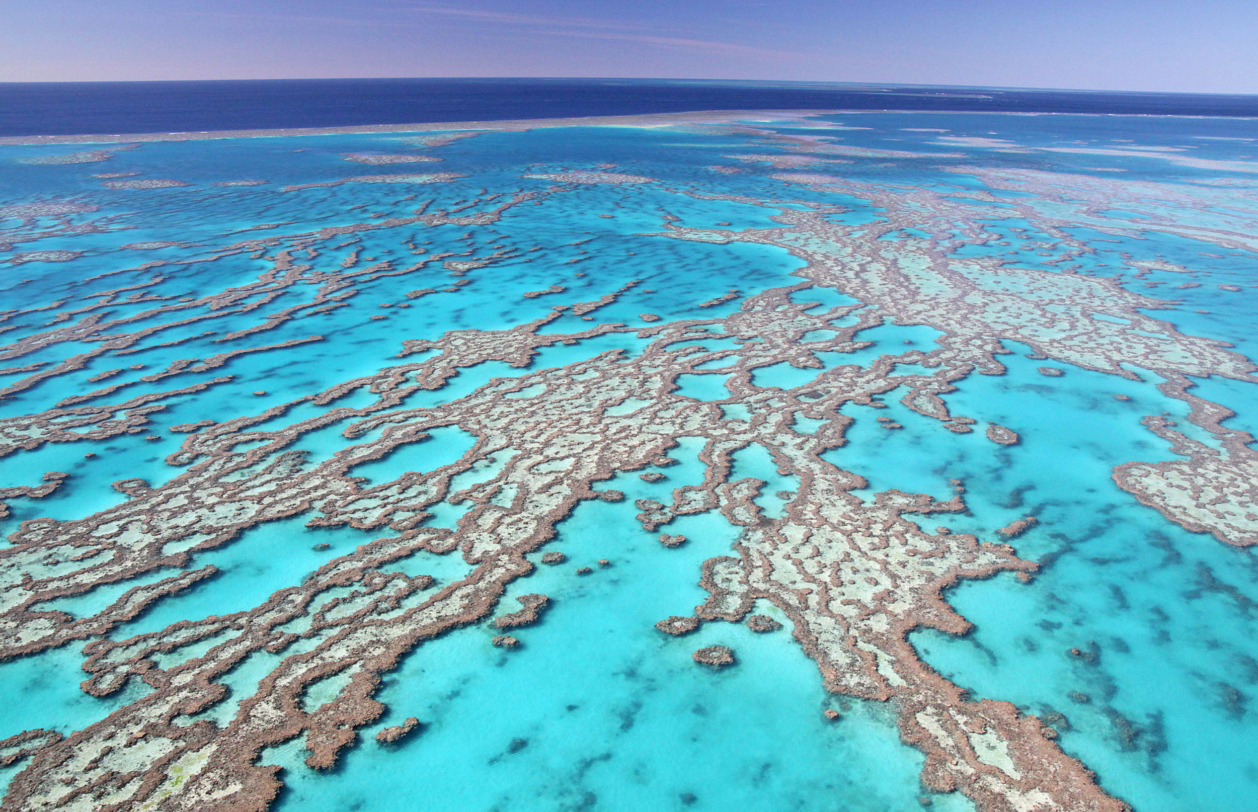 2016/09/great-barrier-reef-australia_3big_stock.jpg
