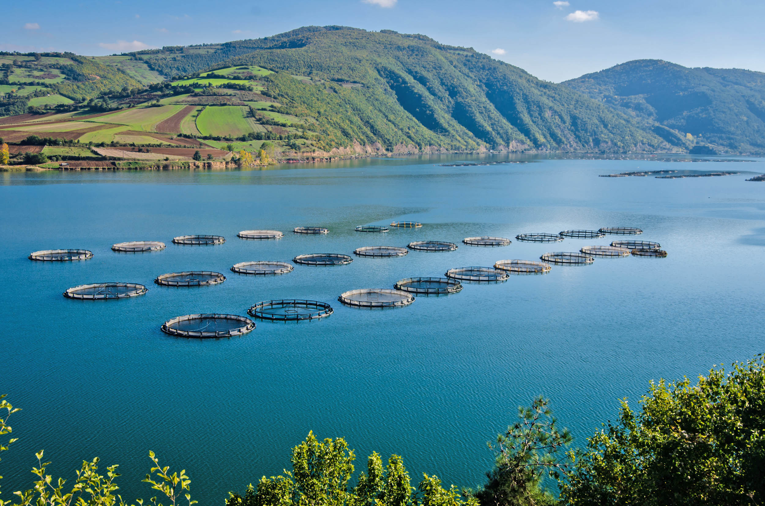2016/09/fish-farm-Kizilirmak-River_1big_stock.jpg
