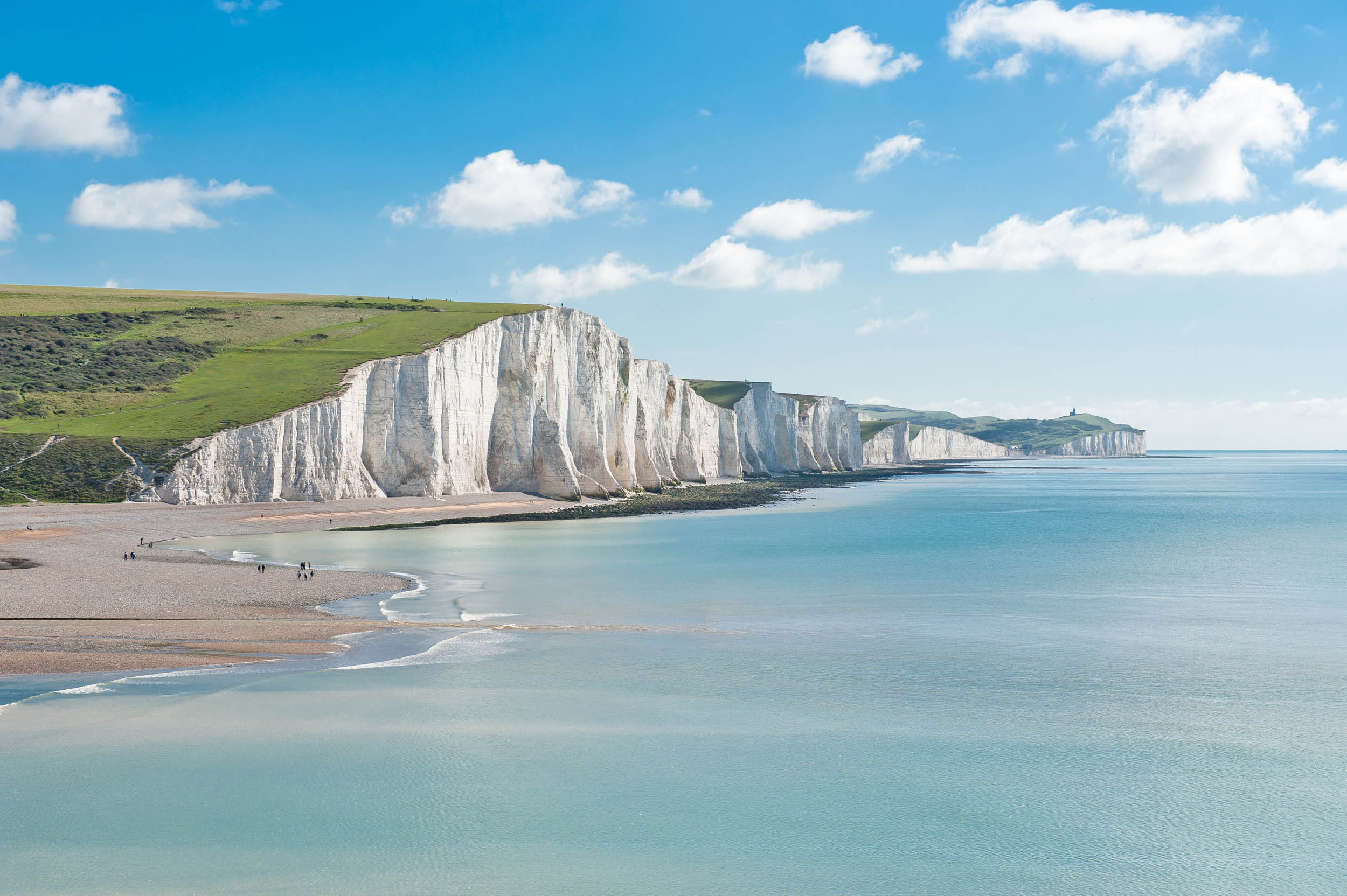 Giant algae bloom created the White Cliffs of Dover