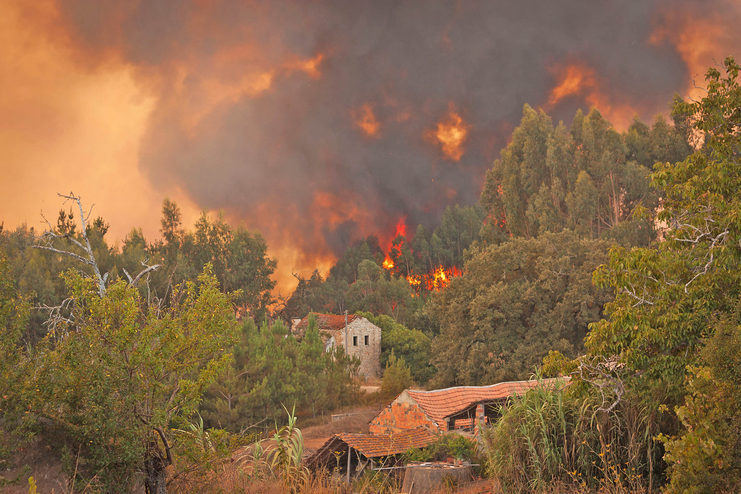 2016/09/wildfire-houses-portugal_1big_stock.jpg