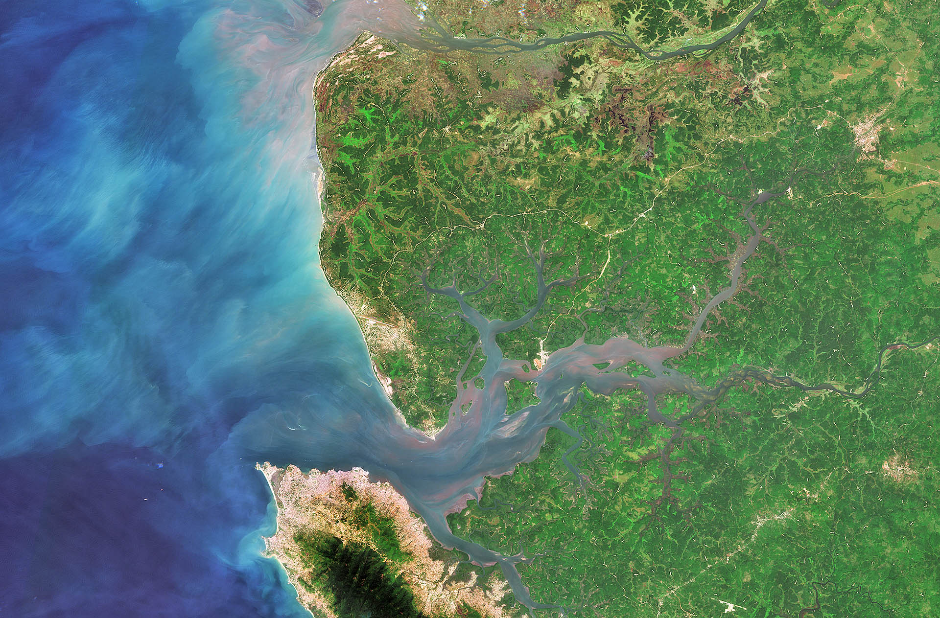The Sierra Leone River Estuary in West Africa