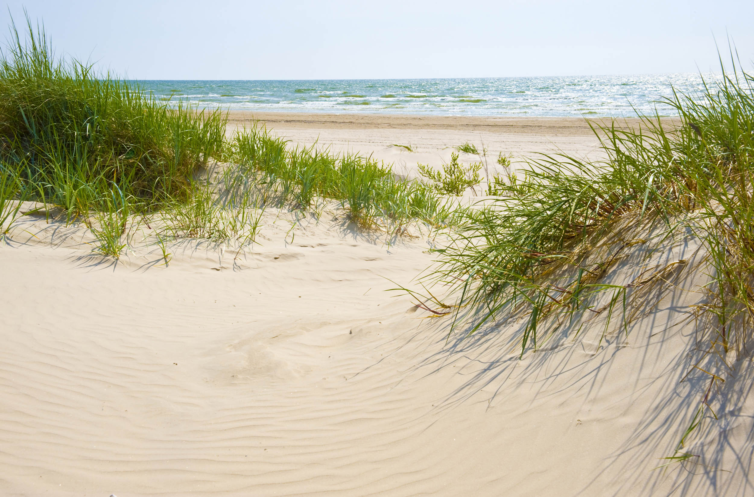 2016/10/sand-dunes-beach_2big_stock.jpg