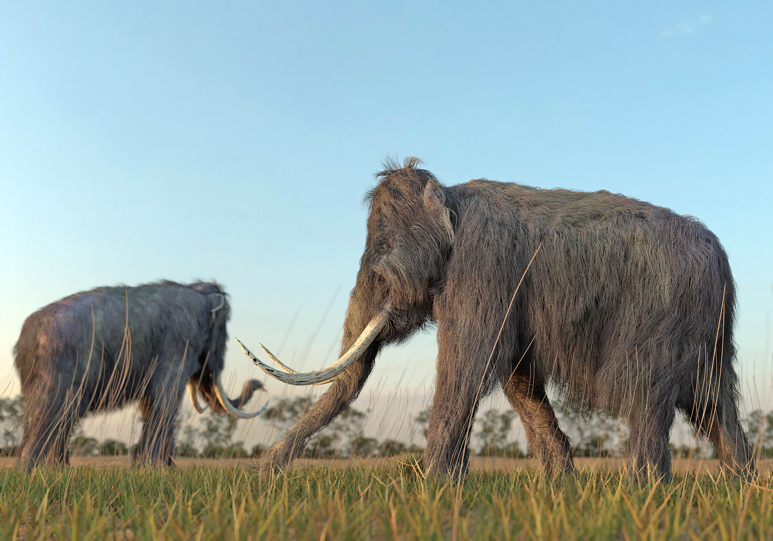2016/10/mastodon-mammoth_1big_stock.jpg