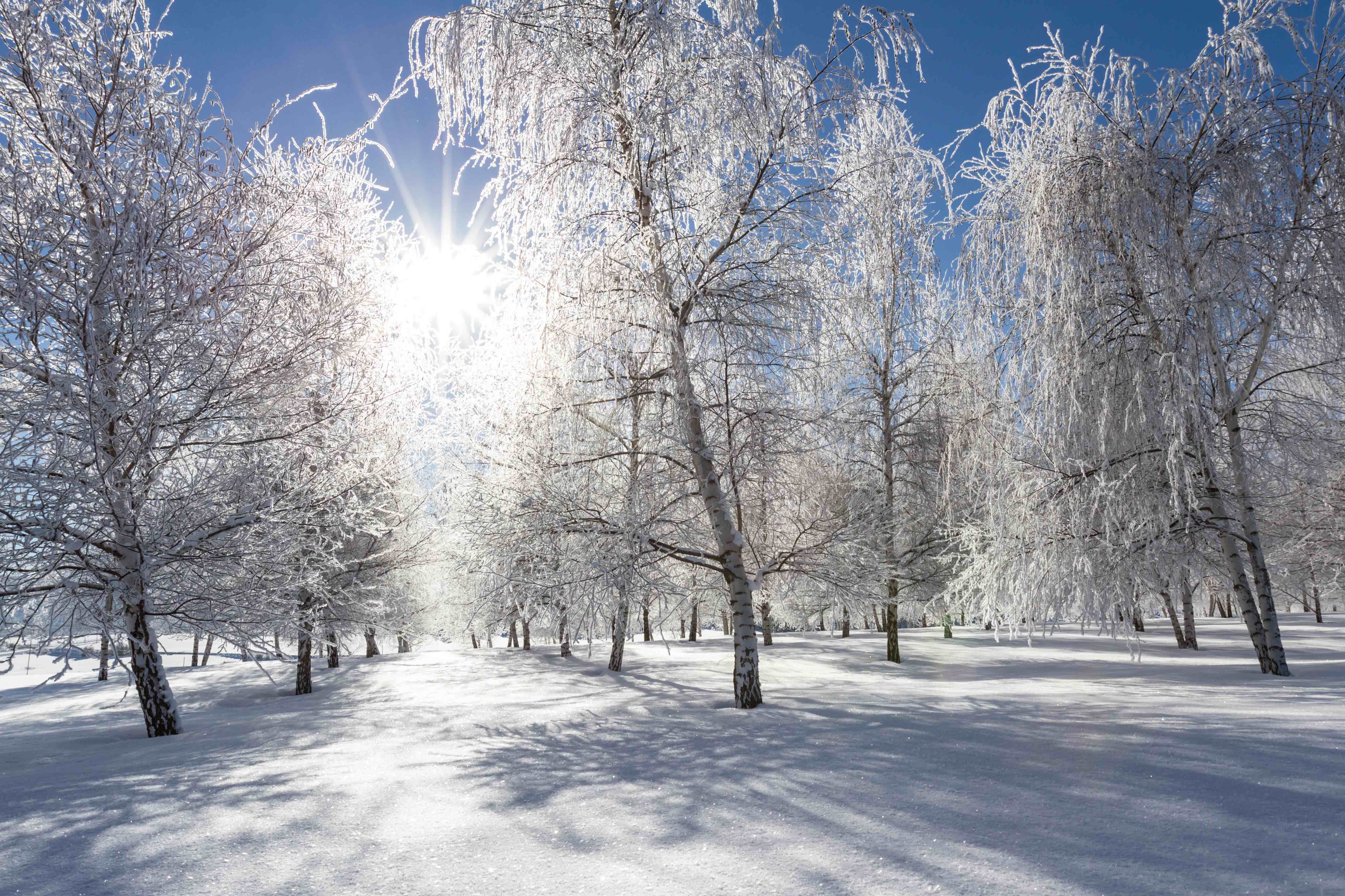Winter scene in Northern Idaho