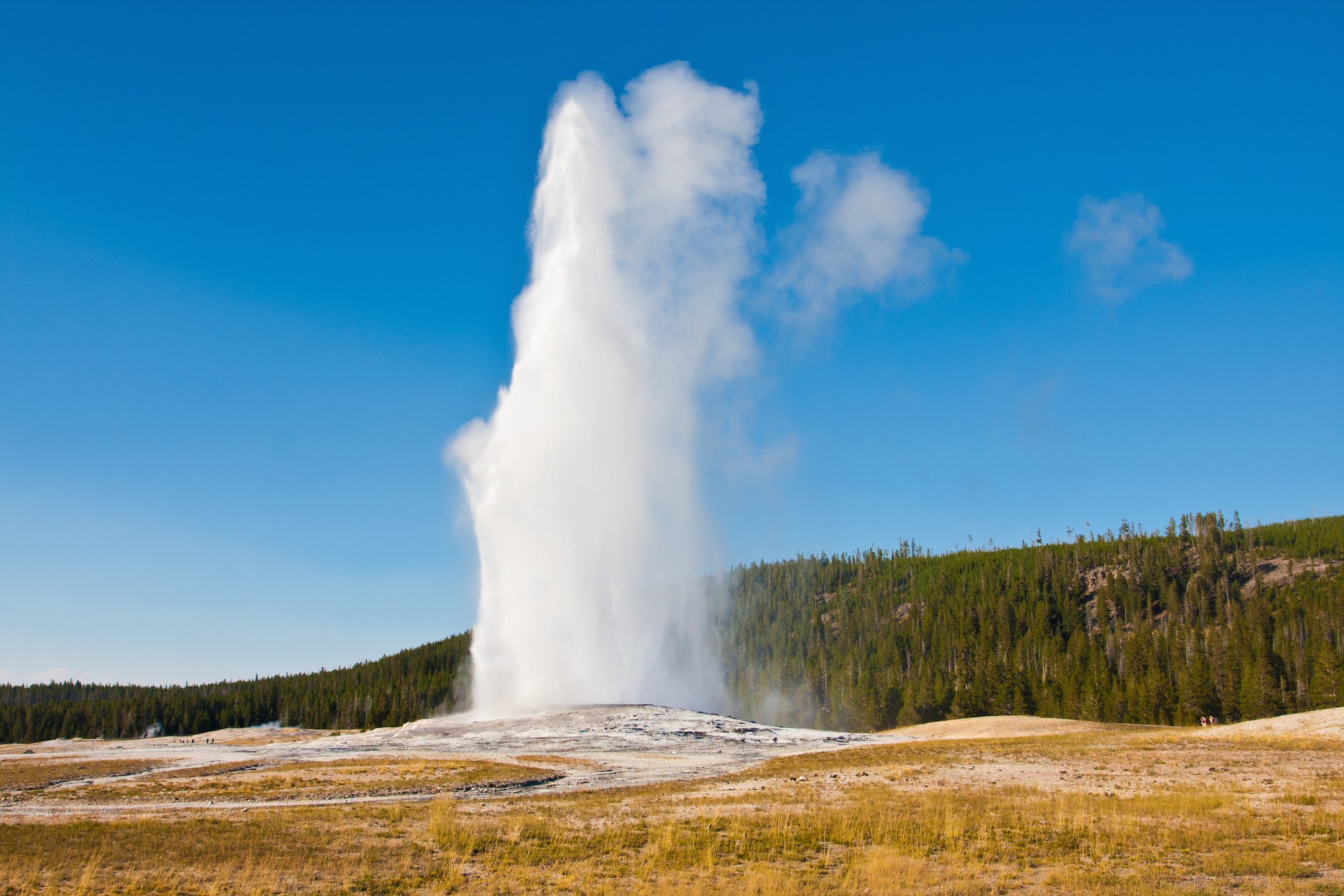 2016/11/yellowstone.jpg