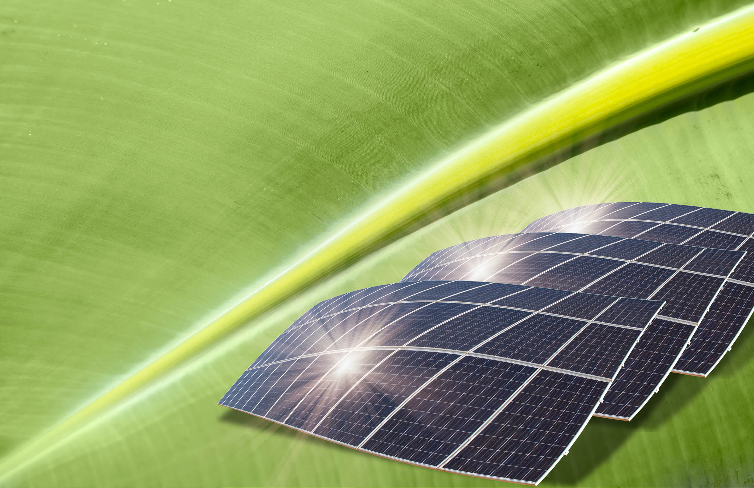 Scientists prove that photosynthesis can be boosted to grow food faster