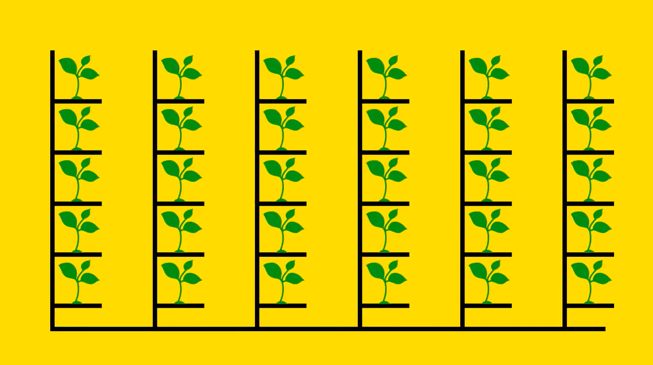 Is vertical farming the future of agriculture?