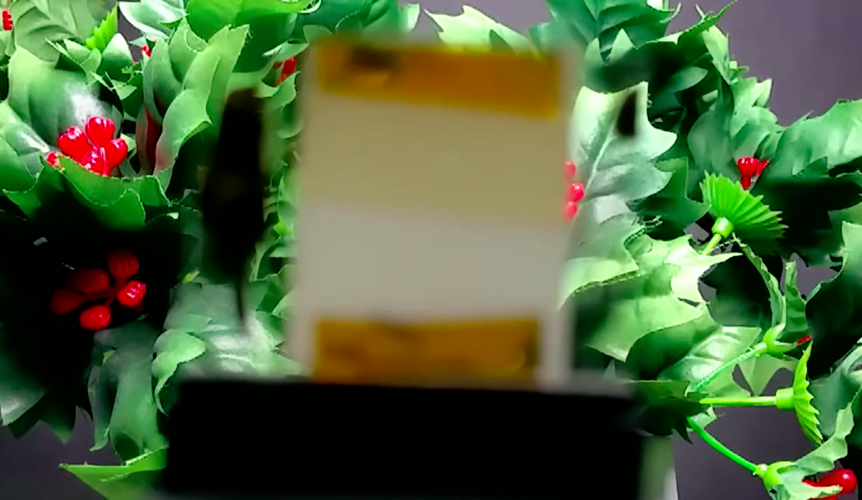 Cool new solar smart windows can regulate sunlight