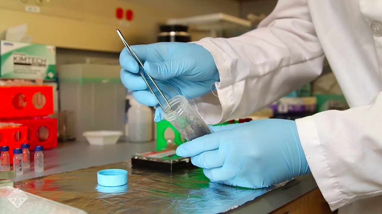 New hair fiber analysis technique provides more info on criminals
