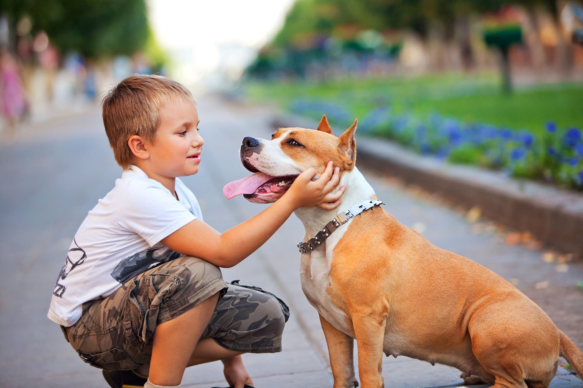 How your dog might protect your kids' health