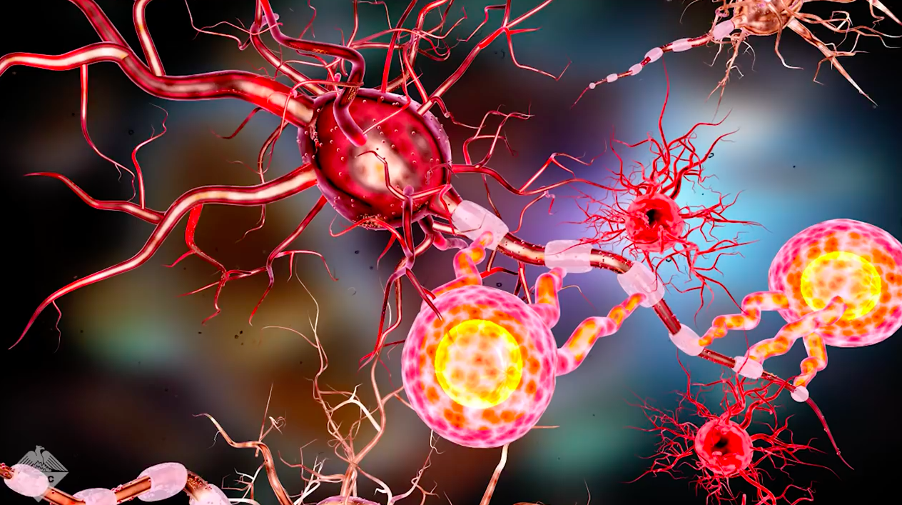 Scientists successfully reverse paralysis in mice