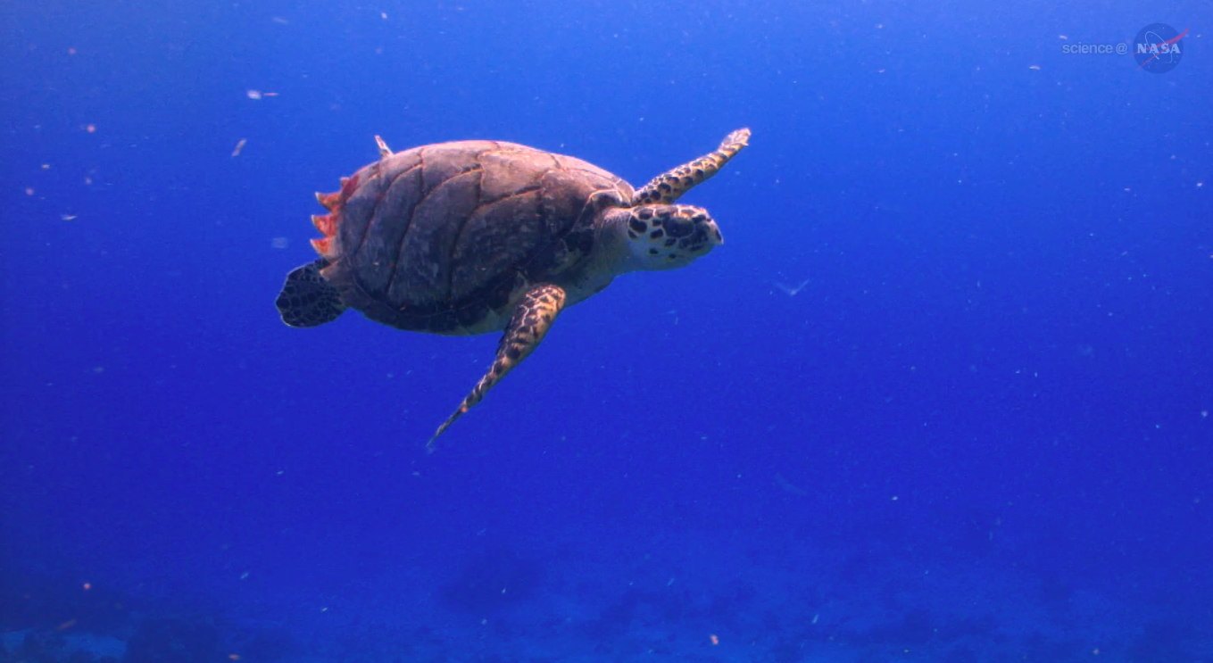 As the planet warms, the world's oceans reshuffle the heat