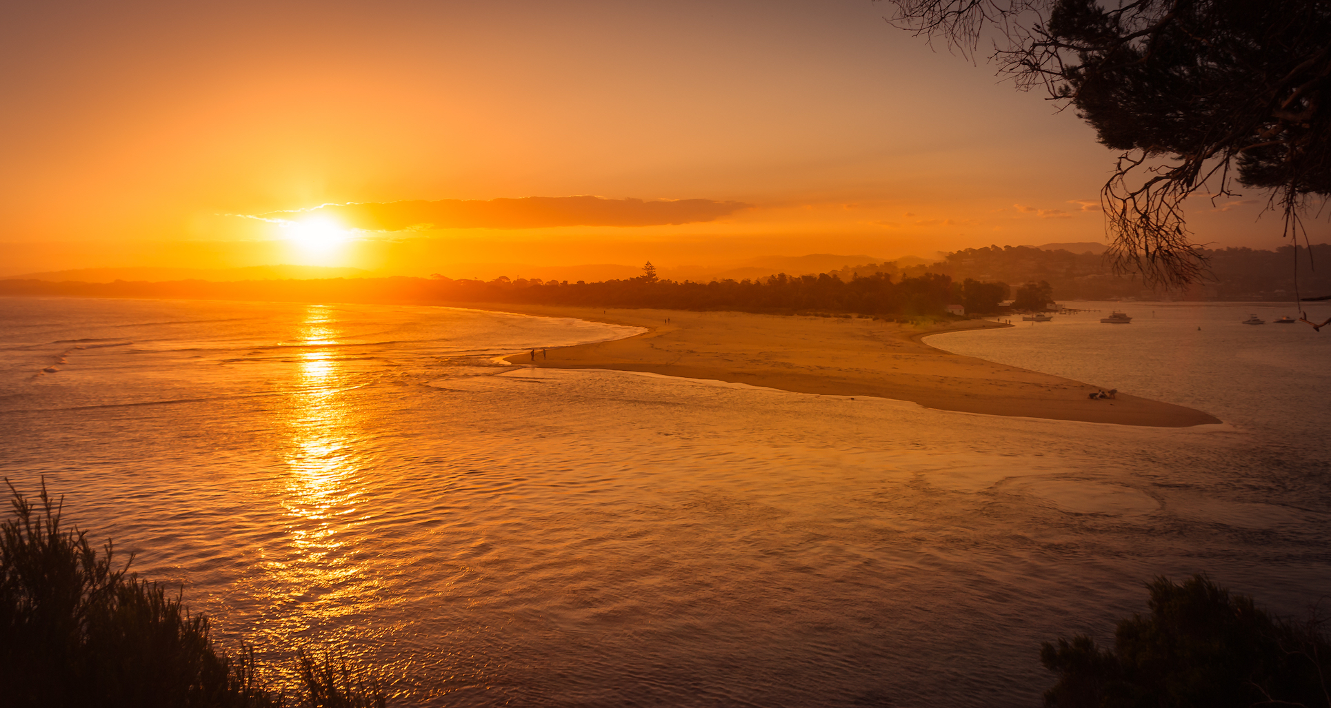 Increasing ocean acidification may devastate future marine food webs