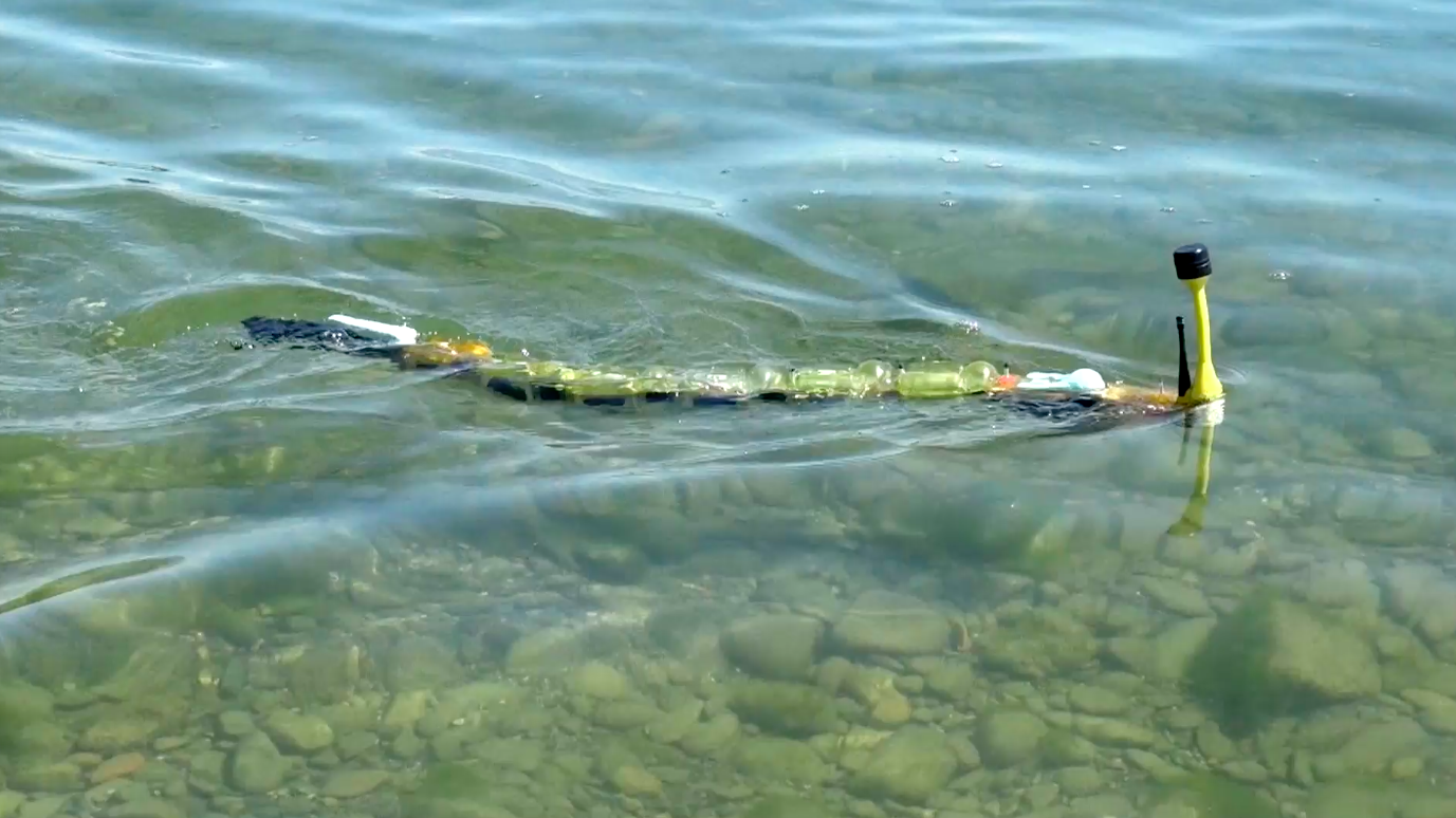Monitoring water pollution using a robotic eel