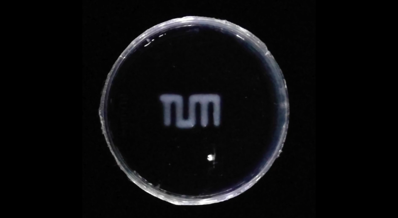 Scientists develop new self-erasing ink