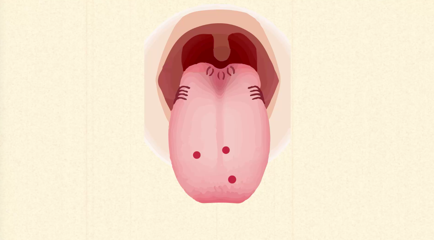 How semaphorins keep your taste system in order