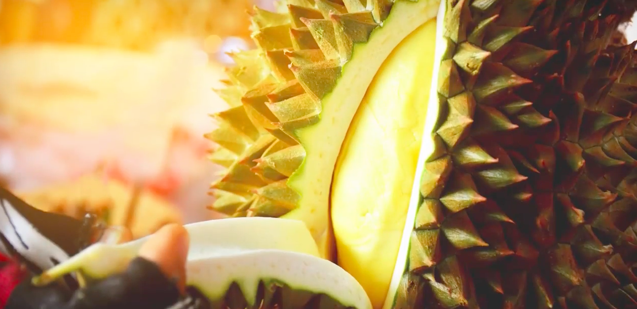 Durian: The smelly king of fruits
