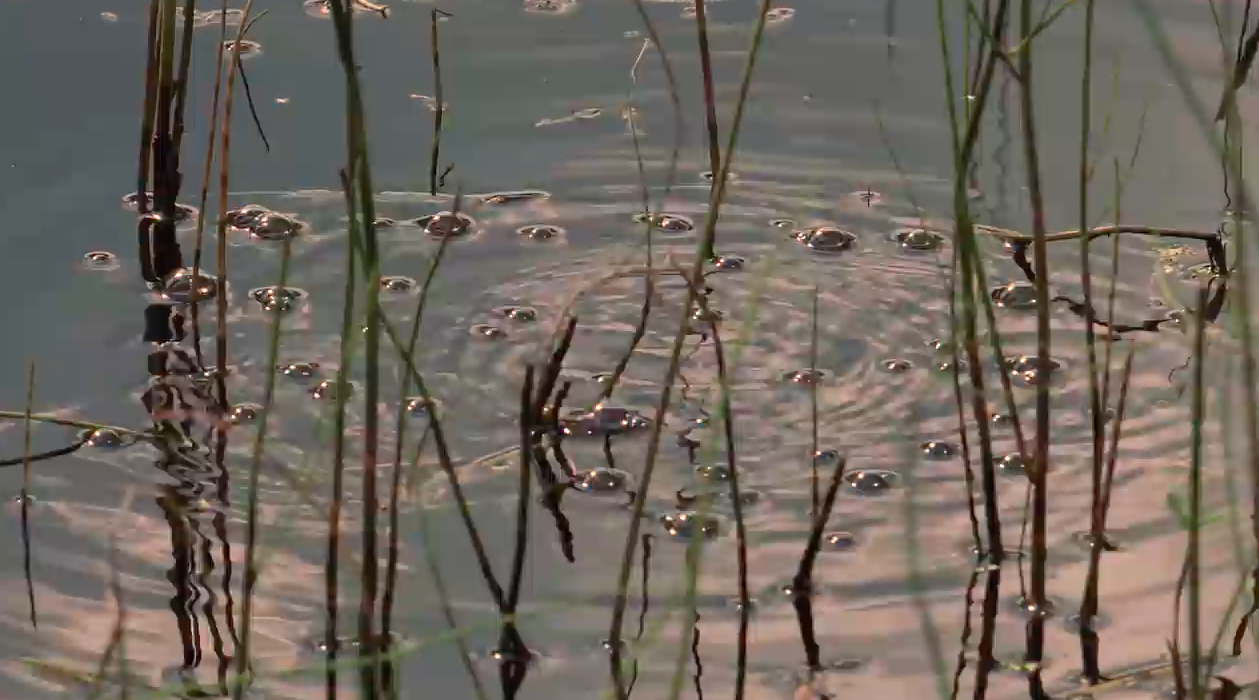 Why are these Alaskan lakes bubbling?