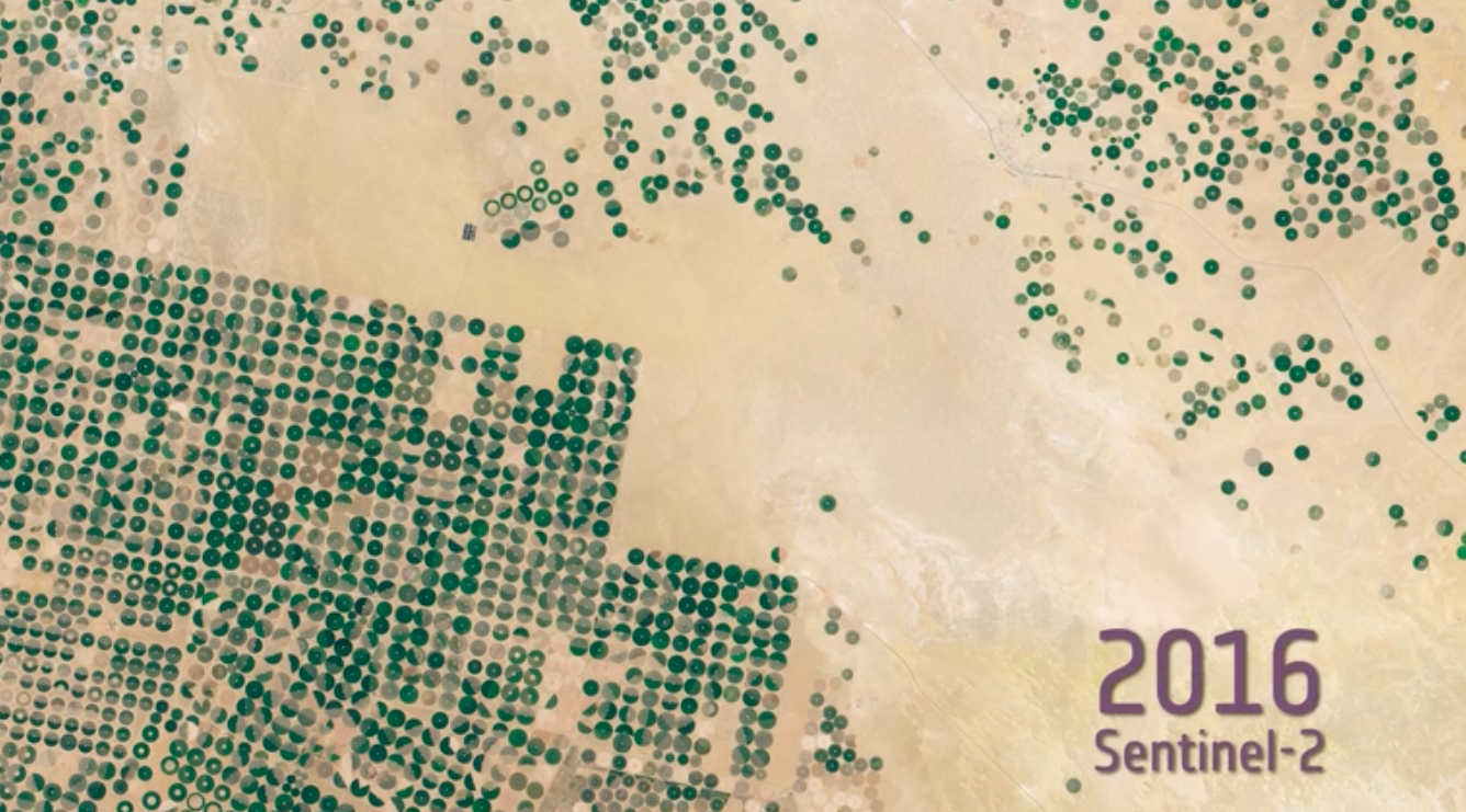 Farming in the Saudi Arabian desert