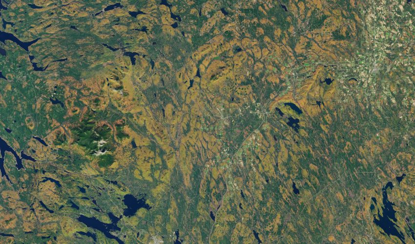 Autumn Foliage in Maine