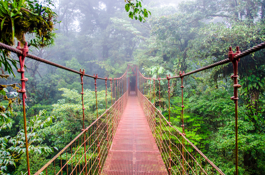 2017/10/The-top-10-rainforests-you-have-to-see.jpg