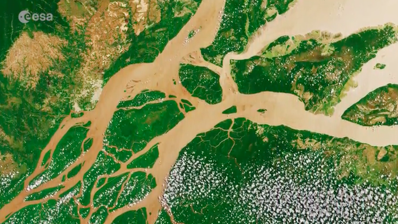 The Amazon River seen from space