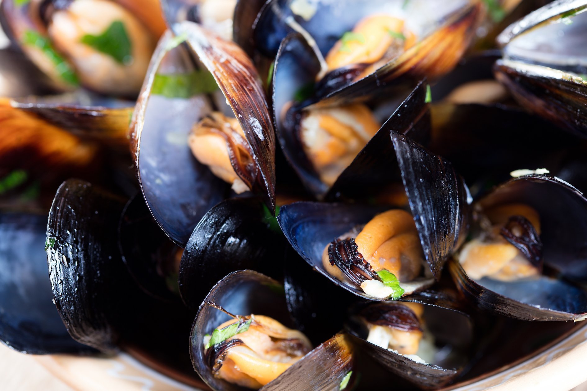 2017/12/there-may-be-plastic-in-your-mussels.jpg