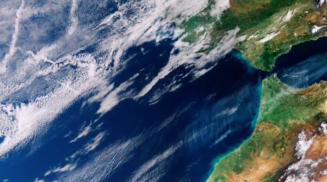 Ship tracks in the Atlantic Ocean