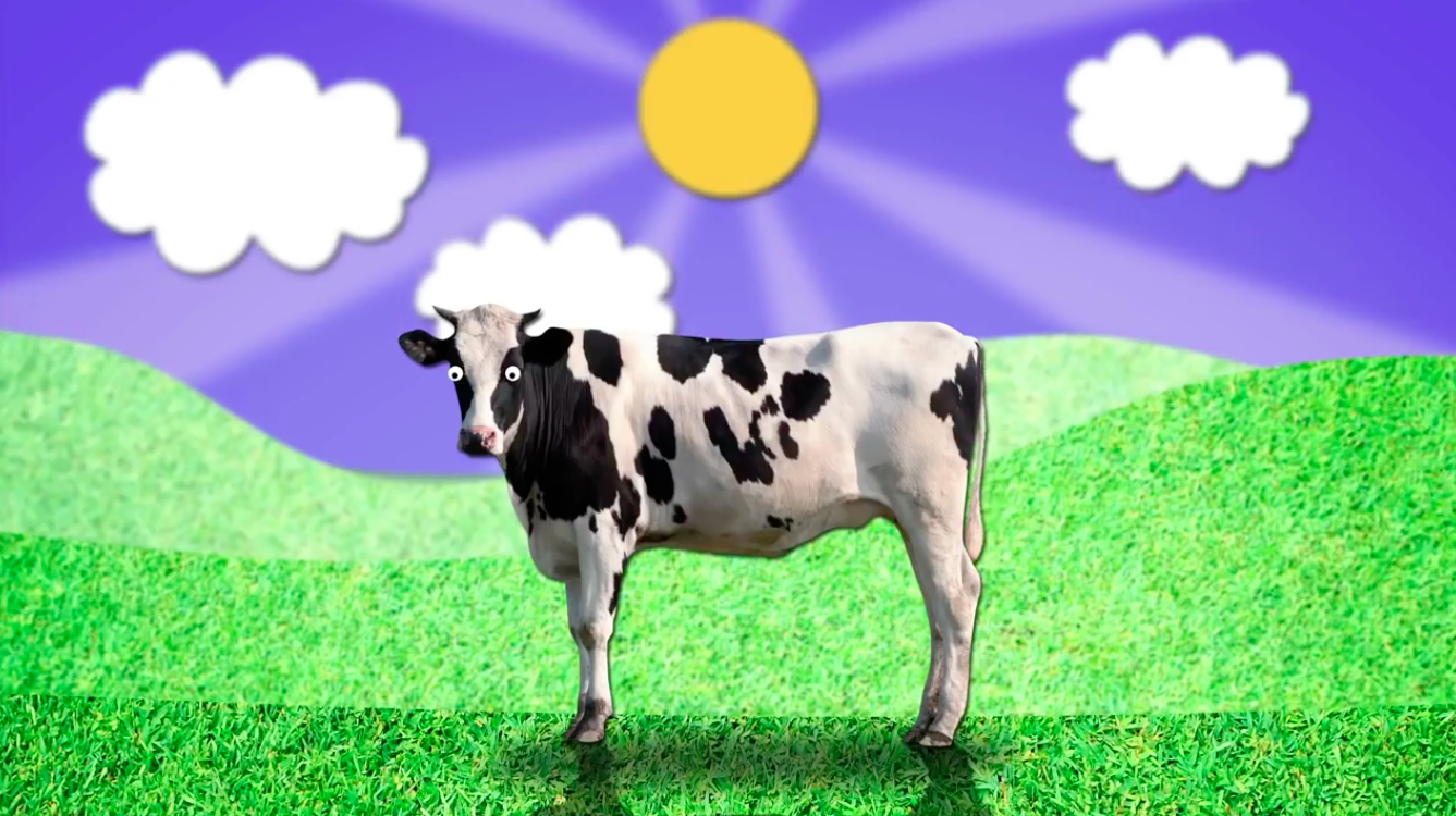 Cow burps really do impact global warming