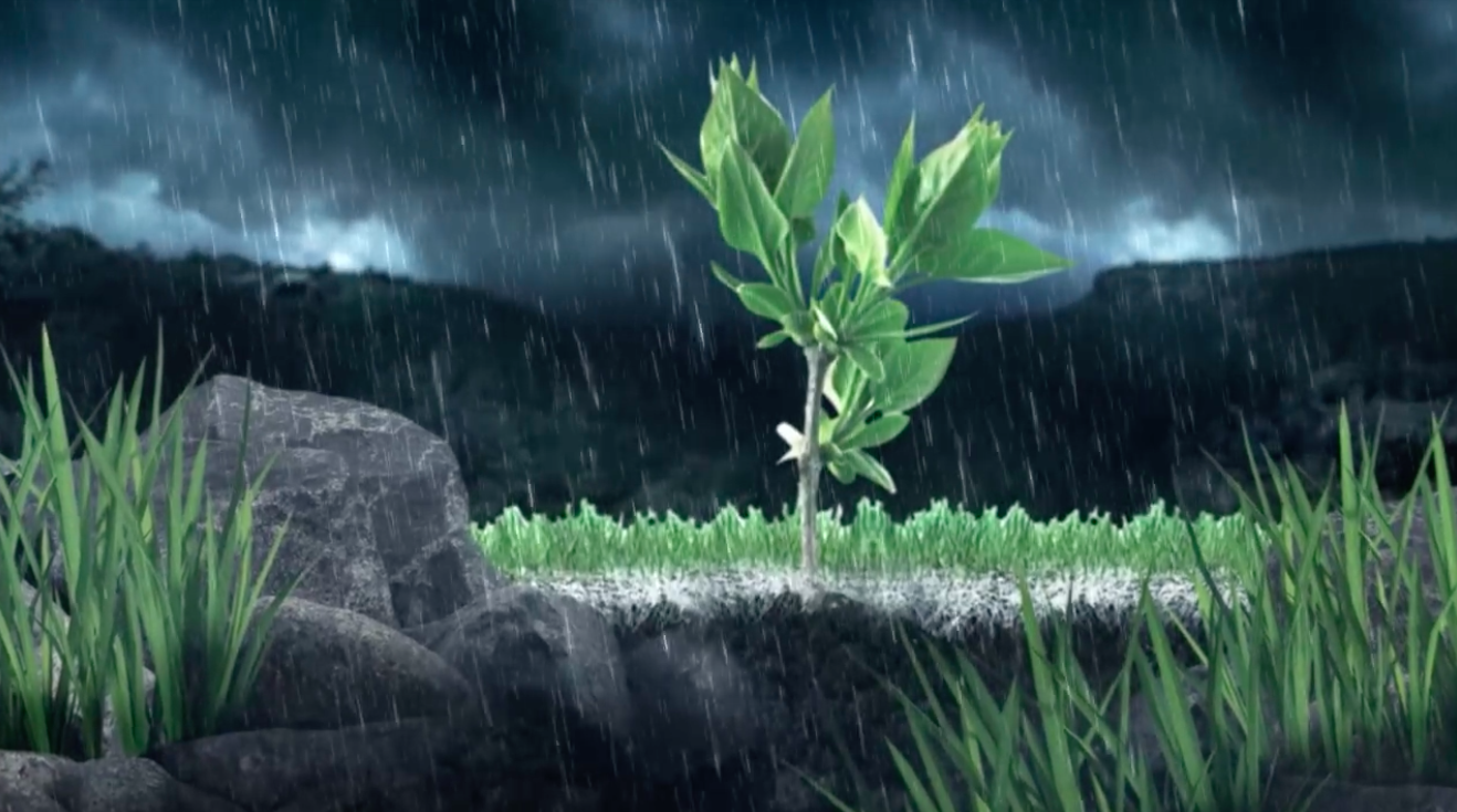 The after-rain smell is called petrichor