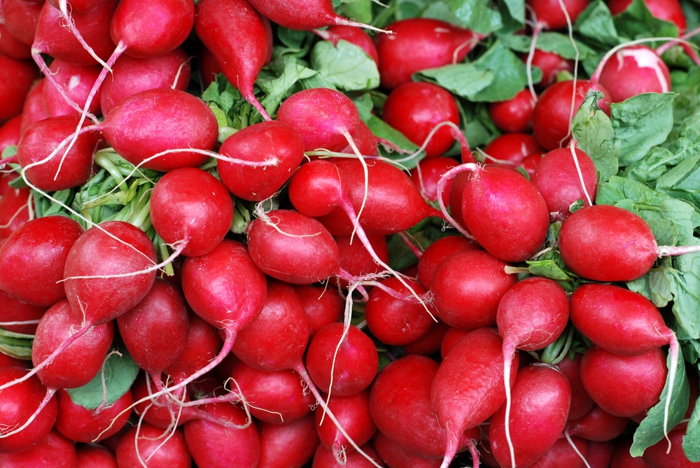 2018/04/Radishes.jpg