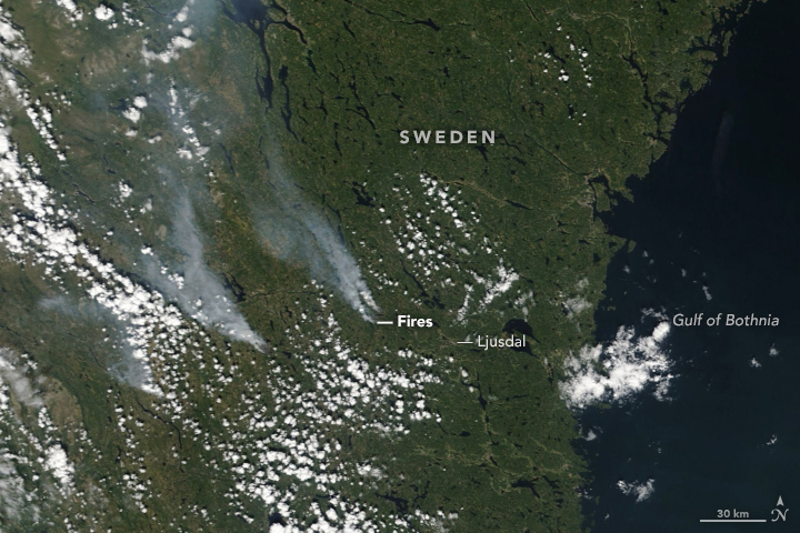 Historic wildfires are raging across Sweden