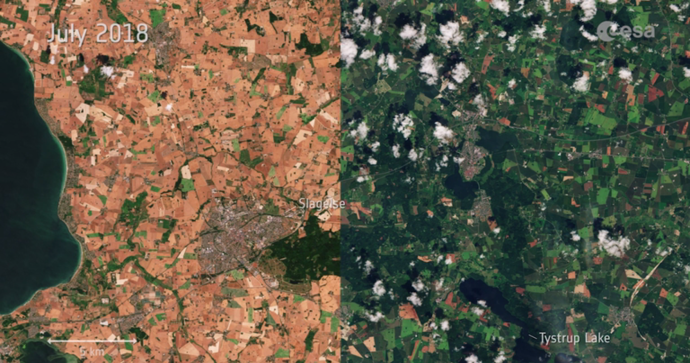 Summer heatwave takes a visible toll on Denmark