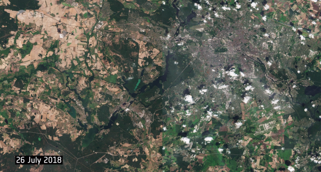 Europe's extreme heatwave strikes Berlin