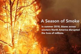 The destructive wildfire season of summer 2018